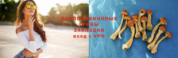 ешки Зеленокумск