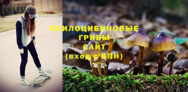 метадон Зеленодольск