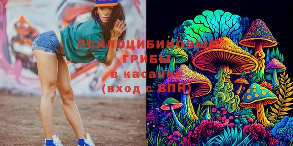 метадон Зеленодольск