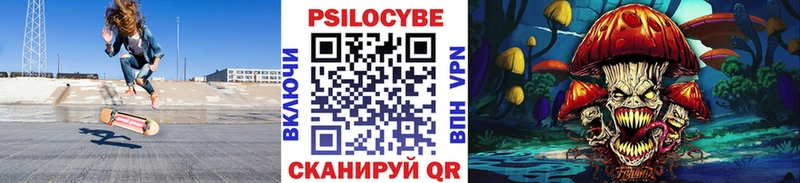 купить наркотики сайты  Кадников  Галлюциногенные грибы Cubensis 